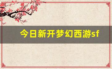 今日新开梦幻西游sf (14)