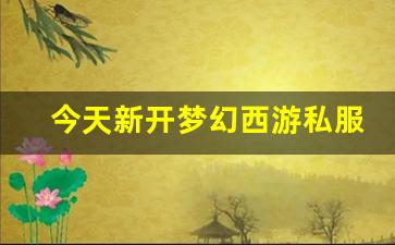 今天新开梦幻西游私服 (9)