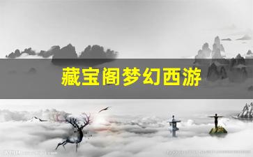 藏宝阁梦幻西游 (4)