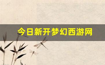 私服网站：今日新开梦幻西游网 (11)