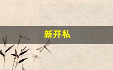 梦幻西游网页版：新开私(新开私人影院)
