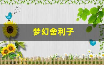 梦幻舍利子(梦幻舍利子多少钱一粒) (13)