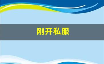 梦幻西游发布网新开服：刚开私服 (13)