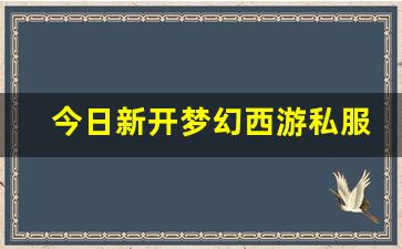 xinkaisf：今日新开梦幻西游私服 (12)