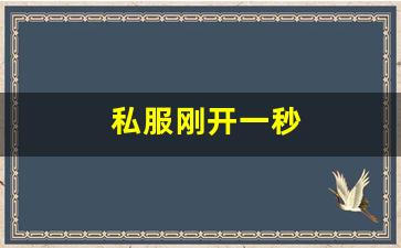 西游sf：私服刚开一秒(新开一秒传奇sf) (4)