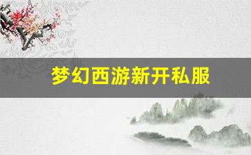 梦幻手游私服：梦幻西游新开私服 (18)