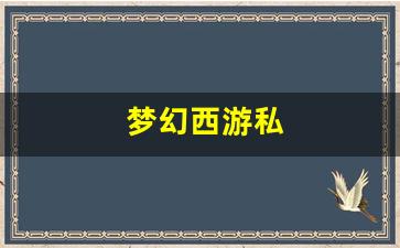 私服发布网站：梦幻西游私(梦幻西游手游版本) (2)