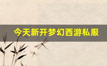 刚开一秒sf：今天新开梦幻西游私服(梦幻西游手游吧) (18)