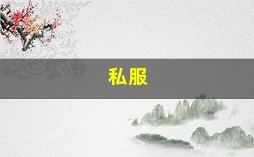 梦幻西游私：私服(私人服装是什么意思)