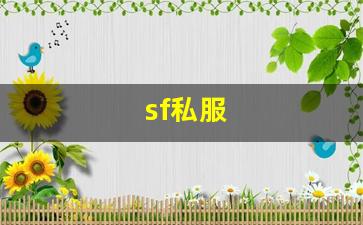 sf私服 (11)