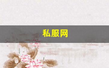 私服网(手游私sf平台) (13)