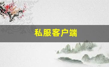 梦幻发布网：私服客户端 (2)