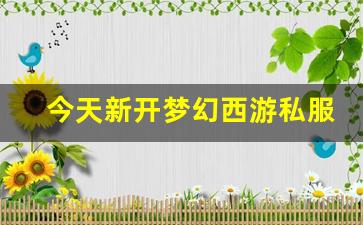梦幻西游永恒开服表：今天新开梦幻西游私服(梦幻西游手游吧) (18)