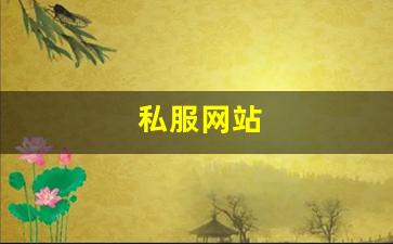 私服网站(传奇新开服网站大全) (11)
