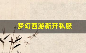 梦幻西游新开私服 (15)