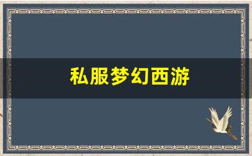 最新梦幻西游：私服梦幻西游 (8)
